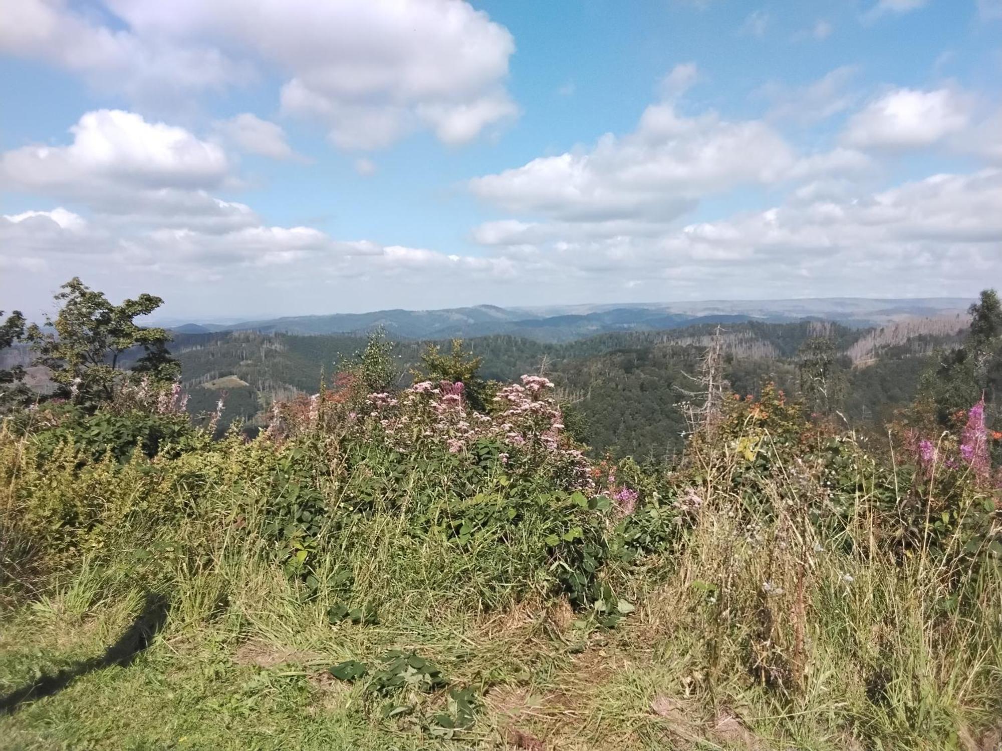 Hochwald Ensuite Bad Sachsa Eksteriør bilde