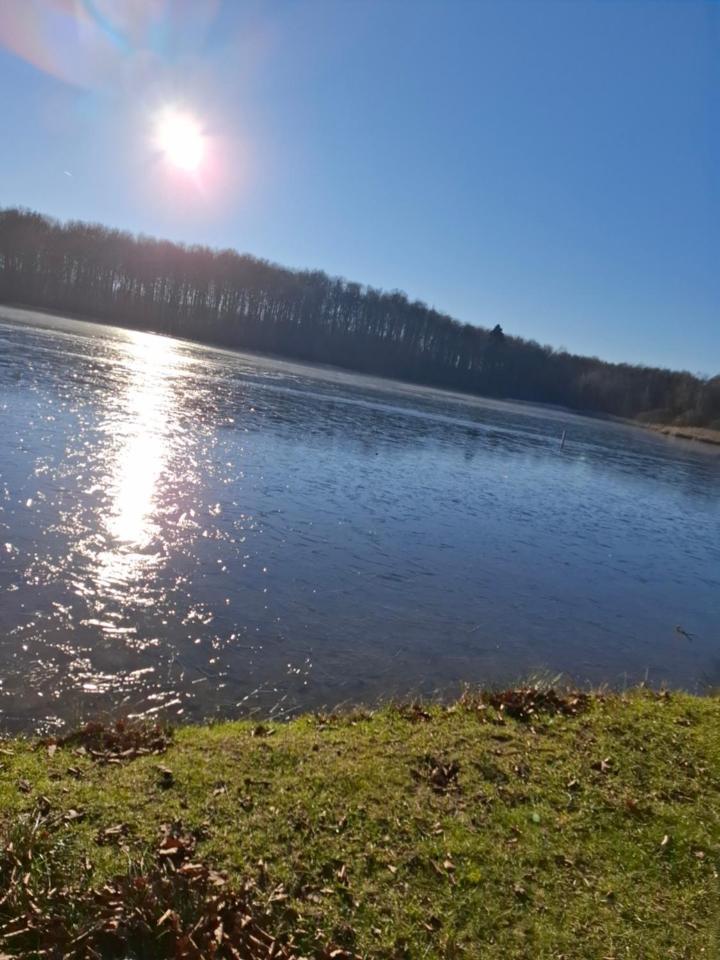 Hochwald Ensuite Bad Sachsa Eksteriør bilde